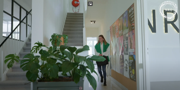 Van zweefvliegen tot Demand planning: een reis door de supply chain (1)